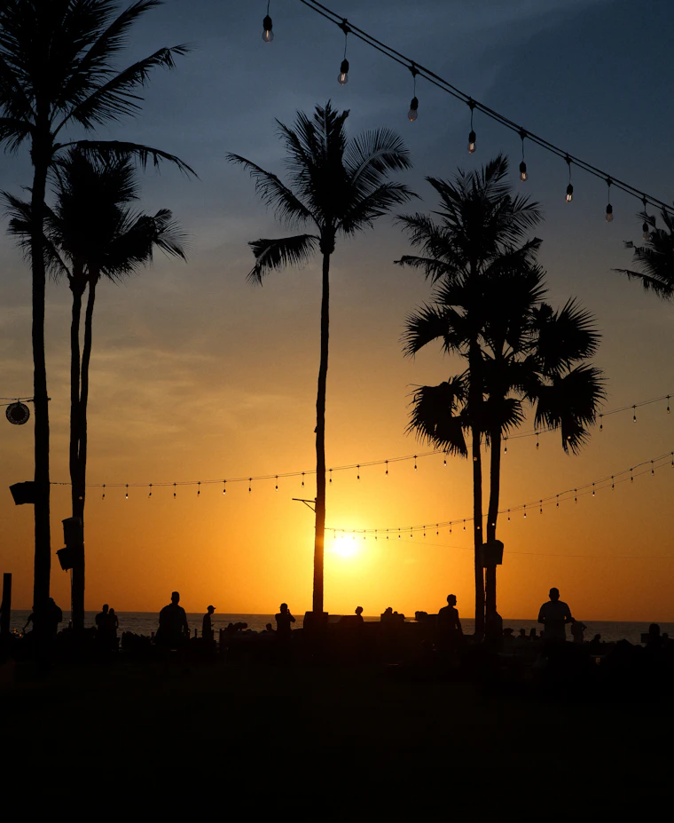 People gathered under palm trees and string lights at sunset