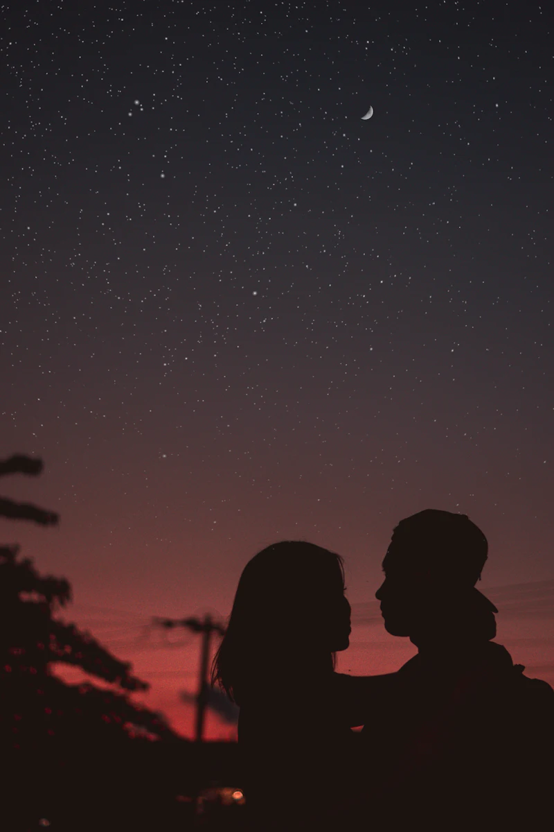 Two people facing each other, dark shapes against a pink sky at dusk